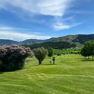 Golf Course 