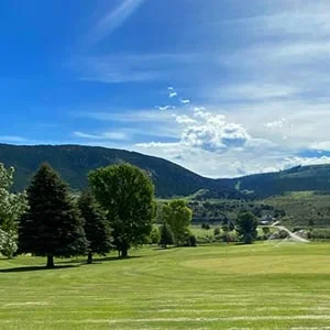 Golf Course 