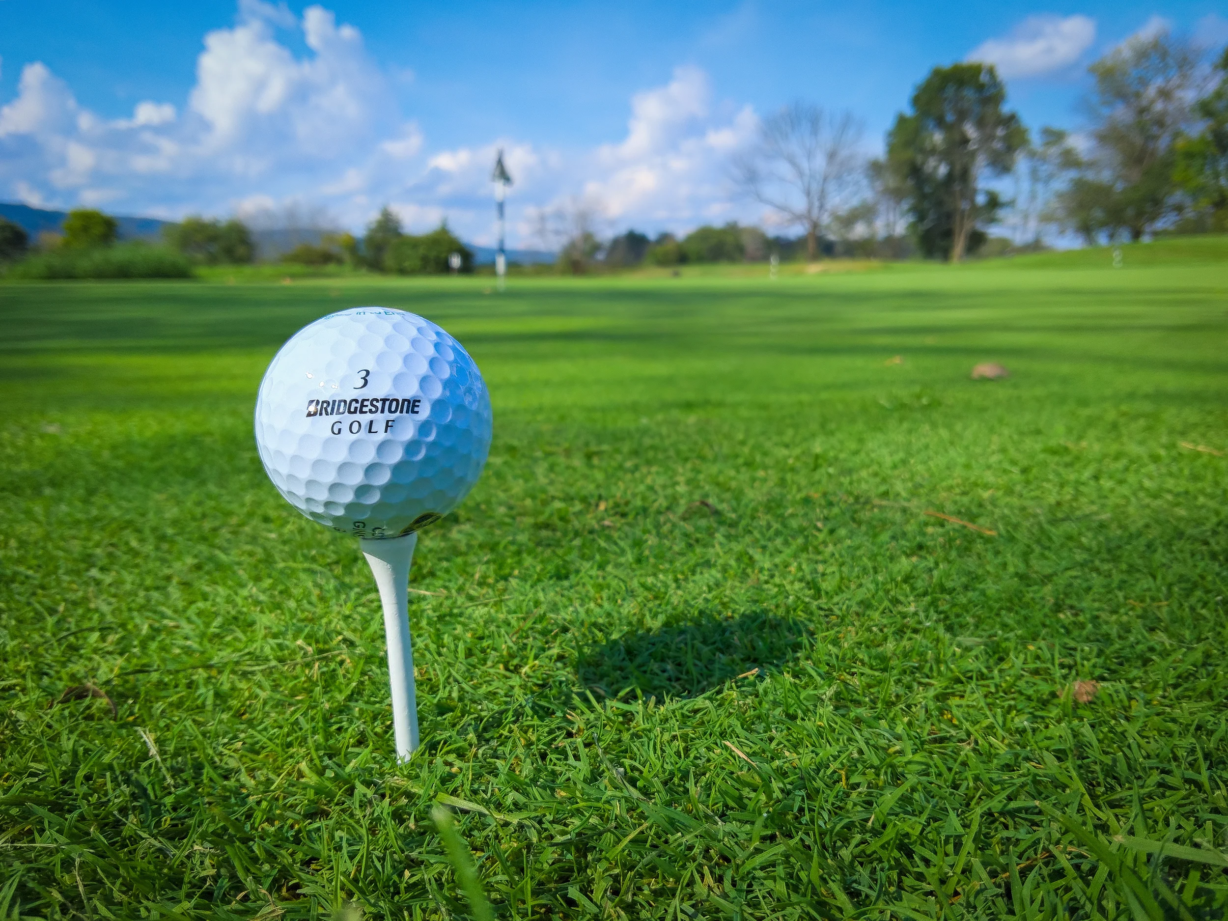 Golf ball teed up